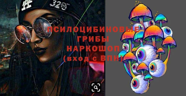 амф Абаза