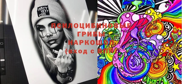 прущие крисы Абинск