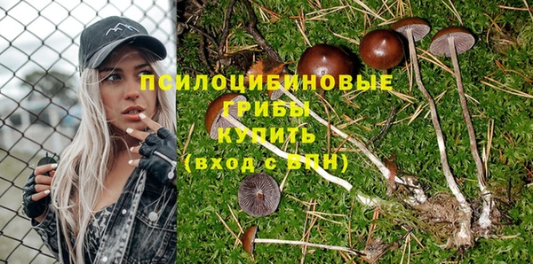 амф Абаза